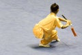 Chinese Martial Arts (Wushu)