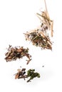 Chinese medicinal herbs