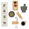 Chinese medicine, herbal tea and hieroglyphs of traditional chinese medical rules, zhen shen root and herbs vector