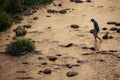 Chinese men crossing shallow river