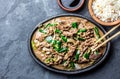 Chinese mongolian beef stir fry on iron plate Royalty Free Stock Photo