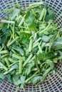 Chinese morning glory vegetable in the stainless cup ready for cooking Royalty Free Stock Photo