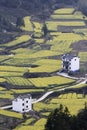 Chinese mountain village with rapeseed flower blossom