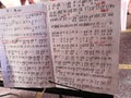 Chinese musical notes