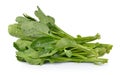 Chinese mustard green on white background (Nontoxic)