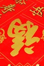 Chinese new year Royalty Free Stock Photo