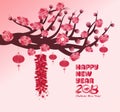 Chinese new year background blooming sakura branches Royalty Free Stock Photo