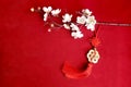 Chinese New Year, blooming plum blossom flower branch and lucky coins with Chinese blessing words means happiness, richness and