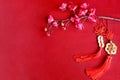 Chinese New Year, blooming plum blossom flower branch and lucky coins with Chinese blessing words means happiness, richness and