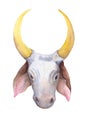 Chinese New Year 2021 year of the bull, head of a bull on a white background. Watercolor illustration