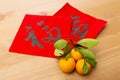 Chinese new year calligraphy and kumquat, word meaning is good l Royalty Free Stock Photo