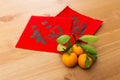 Chinese new year calligraphy, word meaning is good luck Royalty Free Stock Photo