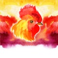 Chinese New Year card Design with red rooster, zodiac symbol of 2017, on watercolor fiery background.