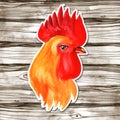 Chinese New Year card Design with red rooster, zodiac symbol of 2017, on watercolor wood background. Royalty Free Stock Photo