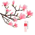 Chinese New Year card with plum blossom in traditional wave pattern. Chinese characters mean Happy New Year Royalty Free Stock Photo