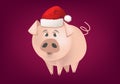 Chinese New Year 2019! Cartoon pig with Santa hat.
