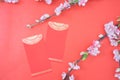 chinese new year celebration with angpao red and plum flowers Royalty Free Stock Photo