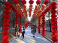 Chinese New Year celebrations, the year of the monkey Royalty Free Stock Photo