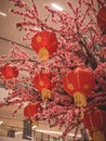 Chinese new year Cherry blossom mobile photograpy