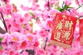Chinese New Year Decoration Royalty Free Stock Photo