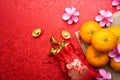 Chinese New Year decoration Royalty Free Stock Photo