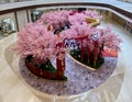 Chinese New Year Decoration Cherry Blossom Plants Flower Display Floral Arrangement Blossom CNY Festival Rich Wealthy Luxury Style