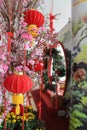 Chinese New Year decoration Royalty Free Stock Photo