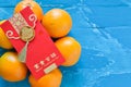 Chinese New Year Decorations orange and red envelope