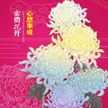 Chinese New Year Design