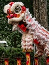 Chinese New year dragon show Vietnam