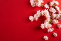 Chinese new year festival decorations. Plum Flowers Blossom on red background good for chinese new year use Royalty Free Stock Photo