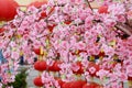 Chinese New Year flower tree Royalty Free Stock Photo