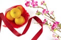 Chinese new year fresh oranges and red ribbon with cherry blossom branch border on white background Royalty Free Stock Photo