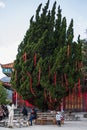 Feb. 2022, Kunming-Chinese New Year red decorations on a tree in a temple Royalty Free Stock Photo