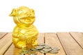 Chinese New Year, Golden pig or Piggy gold and gold coins on the wooden table. Year of the earth pig.