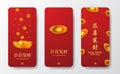 Chinese new year good fortune lucky rich wealth with golden coin 3d gold ingot sycee yuan bao money gift
