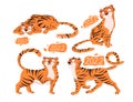 2022, Chinese New Year greeting card with funny tiger cubs set vector illustration. prosperity oriental lucky symbol in