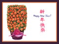 Traditional Mandarin tree in pot, New Year Greeting Card Royalty Free Stock Photo