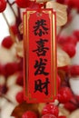 Chinese New Year greeting language: Gong Xi Fa Cai.