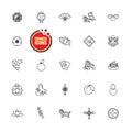 Chinese New Year Icon Vector Set Royalty Free Stock Photo