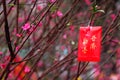 Chinese New Year images Royalty Free Stock Photo