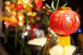 Chinese New Year Lantern Royalty Free Stock Photo