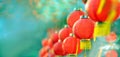 Chinese new year lanterns in chinatown Royalty Free Stock Photo