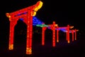 Chinese New Year, lanterns and luminous figures
