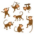 Chinese New Year 2016 monkeys decoration icon. Monkey in east style. Happy ape collection. Vector illustration. Brown Royalty Free Stock Photo