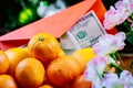 Chinese new year tangerine orange flowers blossom and U.S. dollars