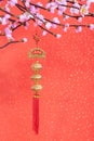 Chinese new year ornaments for decoration Royalty Free Stock Photo