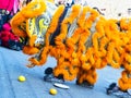 Chinese new year 2019 Paris France - Lion dancing