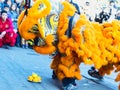 Chinese new year 2019 Paris France - Lion dancing