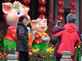 Chinese New Year The pig year auspicious Royalty Free Stock Photo